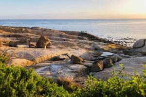 a group of rocks on a beach near the ocean at Cape Town cottage near colony of penguins in Simonʼs Town +2 photos