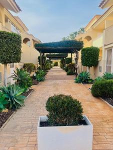 a brick walkway leading to a building with a pergola at Casa Soñada -Appartment with pool and garage in Los Alcázares