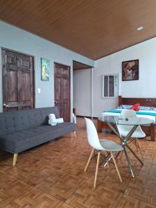 阿拉胡埃拉Anchia - Hostel的带沙发和床的客厅