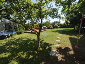 un albero in mezzo a un cortile con parco giochi di DOMEK NAD MORZEM CAŁOROCZNy a Kołobrzeg