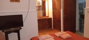 een kamer met een tv en twee handdoeken op een bed bij Luna Vallista in Cafayate
