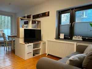 TV a/nebo společenská místnost v ubytování Ferienwohnung Am Langenberg