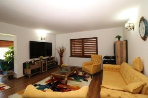 a living room with a couch and a tv at GreenMoodHouse in Comăneşti