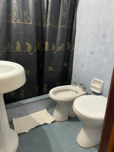 a bathroom with a sink and a toilet and a shower curtain at Departamento en la costa in Mar del Tuyú