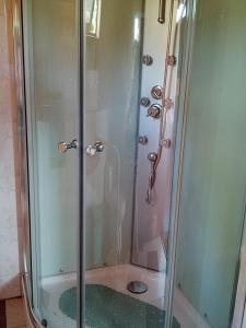 a shower with a glass door in a bathroom at Los Cipreses in Ancagual