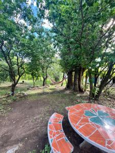 Vườn quanh Bendecida Depto