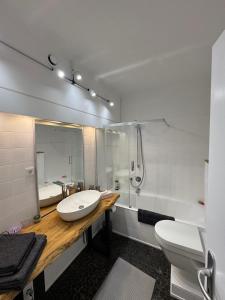 a bathroom with a sink and a shower and a toilet at Apartment Bellevue Bad Harzburg in Bad Harzburg