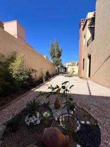 a garden with rocks and plants in a courtyard at Villa Marrakech piscine in Marrakech +18 photos