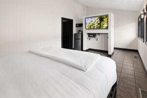 TV a/nebo společenská místnost v ubytování Icon Inn