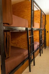Uma ou mais camas em beliche em um quarto em Wild Rover Huacachina