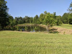 a field of grass with a pond in the distance at Clayhills in Sallis