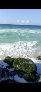 a view of the ocean with rocks in the water at for calmness lovers and relax in Alexandria