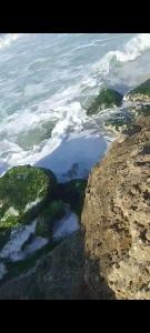 an aerial view of the ocean with rocks and water at for calmness lovers and relax in Alexandria +1 photo