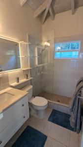ein Badezimmer mit Toilette, Dusche und Waschbecken in der Unterkunft Caribbean Sea View Cottage in Saint Mary
