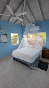 ein Schlafzimmer mit einem Bett mit Moskitonetz in der Unterkunft Caribbean Sea View Cottage in Saint Mary