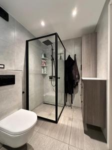 a bathroom with a shower and a toilet at Modern apartement with parking in Kvaloysletta +18 photos