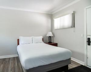 a white bedroom with a white bed and a window at Comfortable Brownstown Stay – Queen Bed Private Bath in Woodhaven