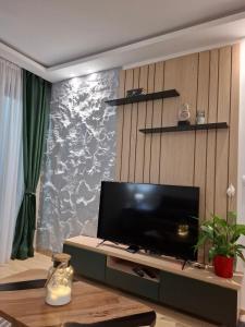 تلفاز و/أو أجهزة ترفيهية في Apartman Silvija 2 Divčibare