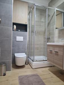 Apartman Silvija 2 Divčibare في ديفشيبار: حمام مع دش ومرحاض ومغسلة