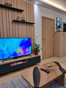 تلفاز و/أو أجهزة ترفيهية في Apartman Silvija 2 Divčibare