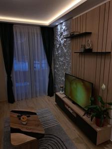تلفاز و/أو أجهزة ترفيهية في Apartman Silvija 2 Divčibare