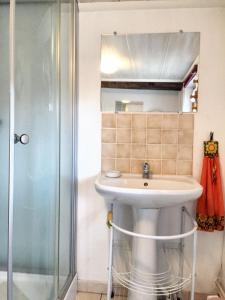 a bathroom with a sink and a shower at Maison charmante à Clairfayts avec terrasse accueillante in Clairfayts +17 photos