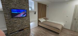 TV a/nebo společenská místnost v ubytování Apartma Minka