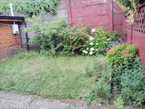 a garden with flowers and plants next to a building at Cabaña interior en barrio residencial in Puerto Montt