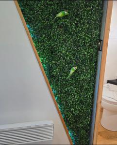 Una pared verde con dos pájaros en el baño en Calaidonia boat house, en Calais 13 fotos más