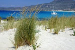 a boat in the water on a beach with tall grass at Simosmare Resort in Elafonisos