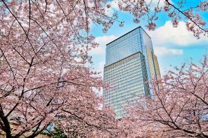 Fotografie z fotogalerie ubytování Mandarin Oriental, Tokyo v Tokiu
