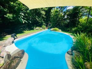 a swimming pool with blue water in a yard at SUNRISE at Heartland in Huonbrook