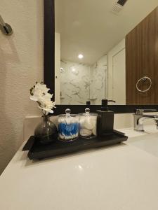 eine Badezimmerablage mit Waschbecken und Spiegel in der Unterkunft lavish apartment downtown in Houston