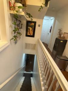 a hallway with stairs with plants on the walls at Dayton Dream in Newark +104 photos