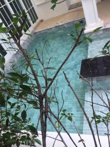 Fotografie z fotogalerie ubytování Grand Florida Jomtien Pool Access v destinaci Sattahip