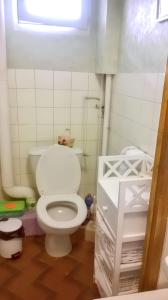 a bathroom with a white toilet and a window at Appartement cosy à Tarbes - Terrasse et jardin clôturé in Tarbes +19 photos