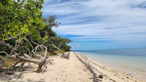 Landskap semula jadi dekat dengan lodge