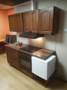Kuchnia lub aneks kuchenny w obiekcie suvi centar