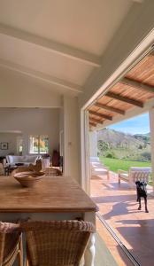 eine Küche mit einem Tisch und einem Hund, der auf einer Terrasse steht in der Unterkunft Ocean Beach Residence in Tuki Tuki
