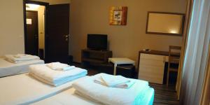 Postel nebo postele na pokoji v ubytování City Blagoevgrad Family Hotel