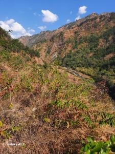 a view of a mountain with trees on it at Nature valley home stay in Marchula
