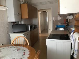 Kuchyňa alebo kuchynka v ubytovaní Apartment Zorec