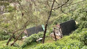 Zahrada ubytování Radiance Art Residency Poombarai Kodaikanal