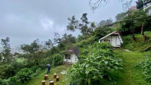 Zahrada ubytování Radiance Art Residency Poombarai Kodaikanal