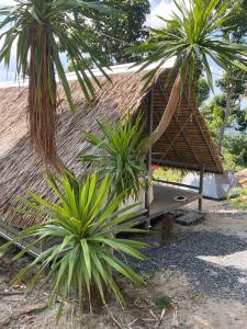 Un resort con dos palmeras y una hamaca. en Krajome1, en Ban Madua Wan