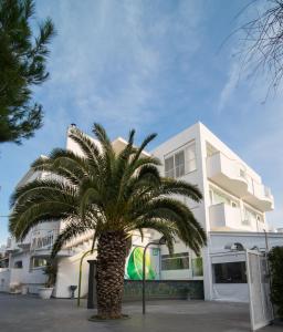 a palm tree in front of a building at Hotel Cicò in Torre Santa Sabina