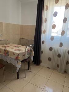 een tafel en stoelen met een tafel en een raam bij Apartament Lena in Baile Felix