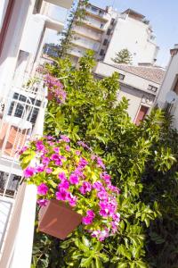 A garden outside B&B Miro Centro Catania