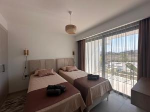 two beds in a room with a large window at Luxurious Apartment with Private Jacuzzi in Kérynia