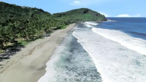 an aerial view of a beach with trees and the ocean at Appartement charmant au Tampon de 55 m² avec terrasse in Le Tampon